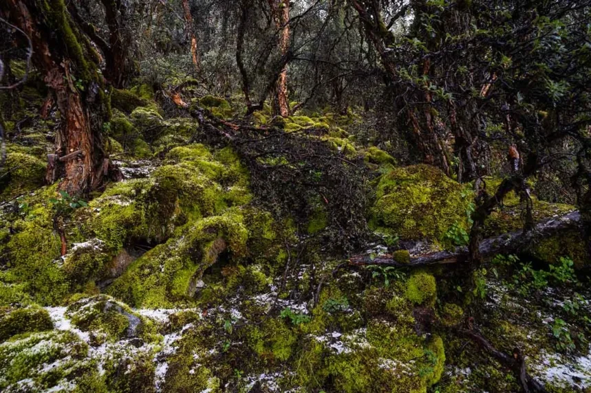 Rontoccocha-Apurimac-Diego-Perez-SPDA