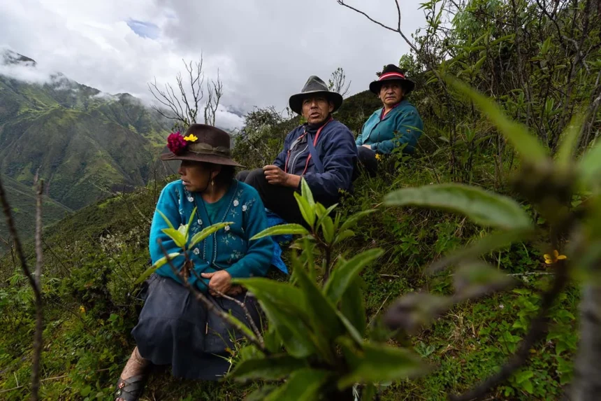 Santosa-equipo-Rontoccocha-Diego-Perez-SPDA
