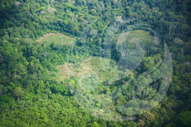 mineria-loreto-fcds3