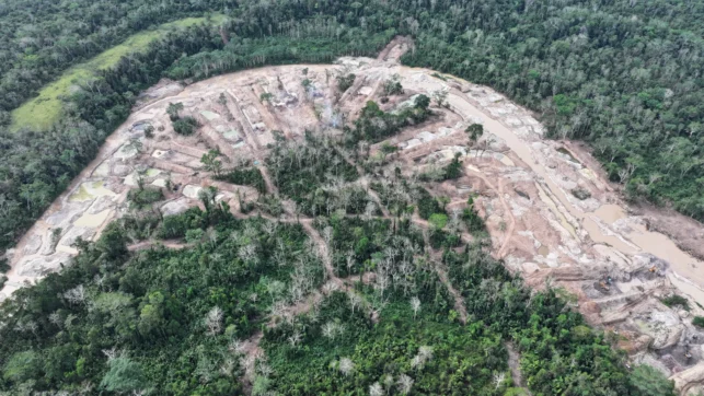 mineria panguana-acp panguana