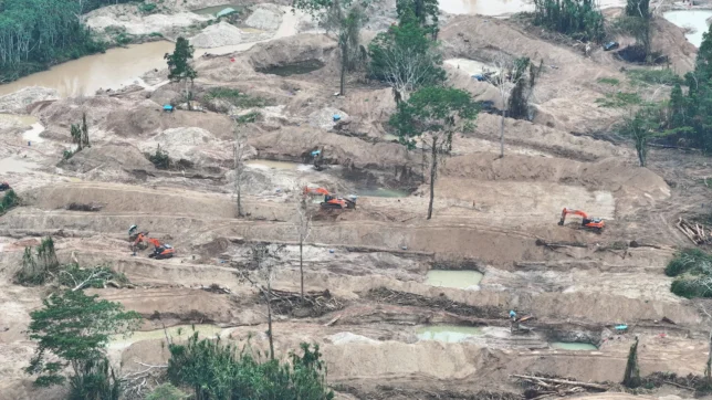 mineria panguana-acp panguana1