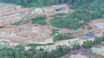 mineria panguana-acp panguana3