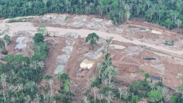 mineria panguana-acp panguana6