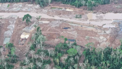 mineria panguana-acp panguana7