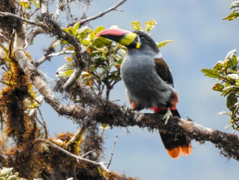 Huamantanga-y-Chorro-Blanco-sernanp